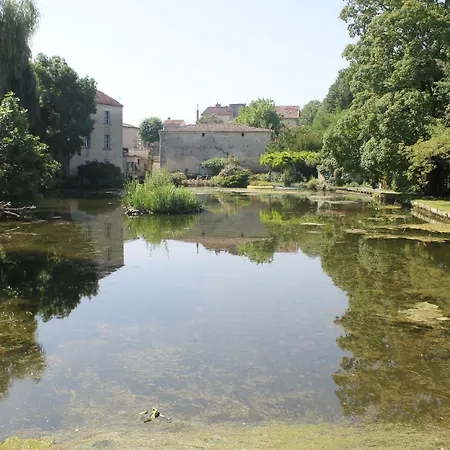 Vieux Veillard *